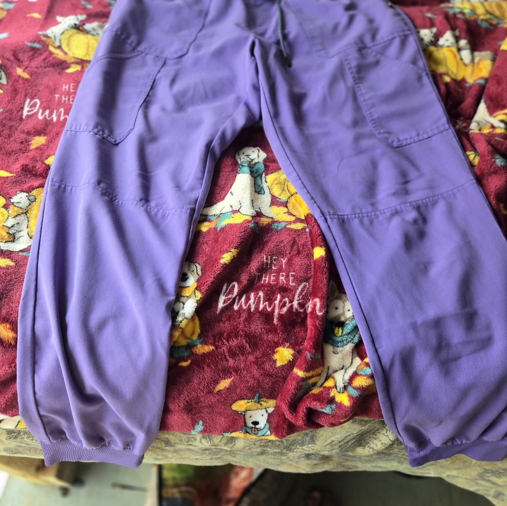 Koi Women's Purple Scrub Pants